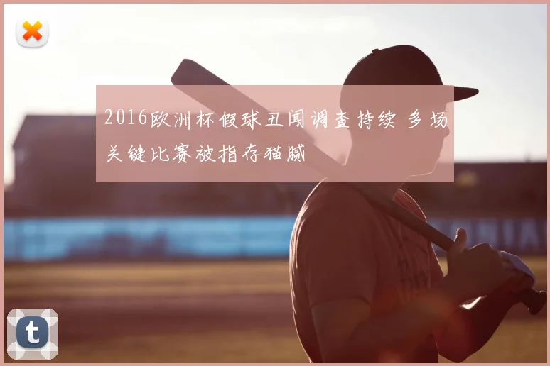 2016欧洲杯假球丑闻调查持续 多场关键比赛被指存猫腻