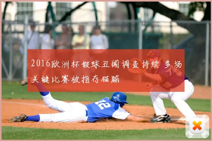 2016欧洲杯假球丑闻调查持续 多场关键比赛被指存猫腻